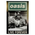 Oasis Live 25 Live Forever Single Fridge Magnet