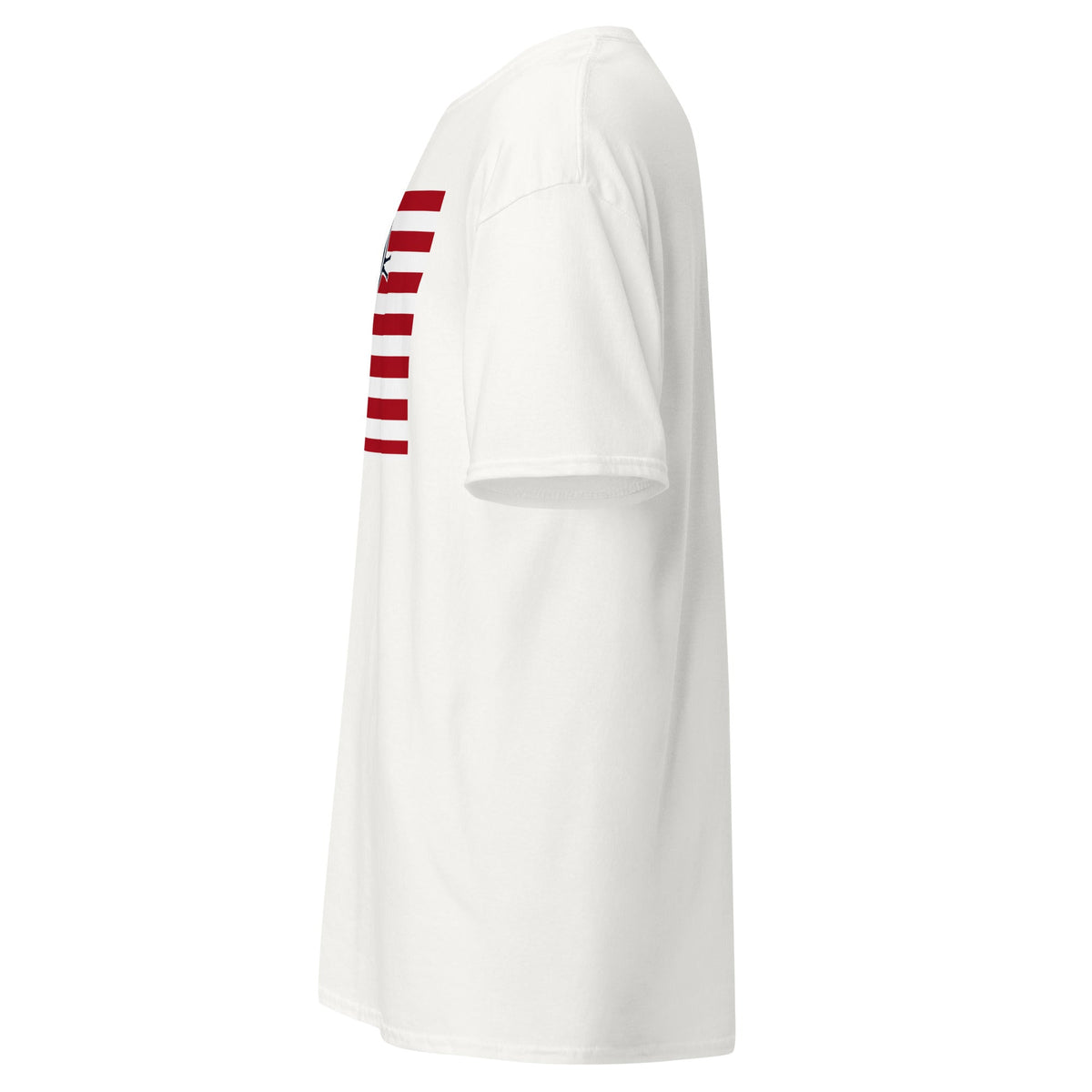 Unisex classic tee product image 3